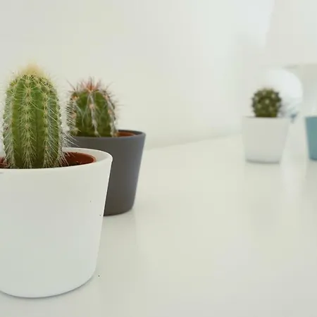 فندق مبيت وإفطار Martin's