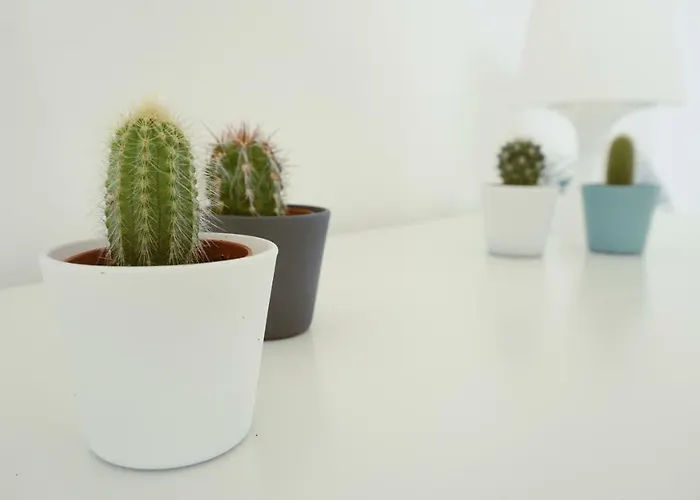 Frühstückspension Martin's