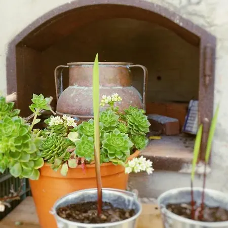 Bed & Breakfast Martin's Atouguia Da Baleia