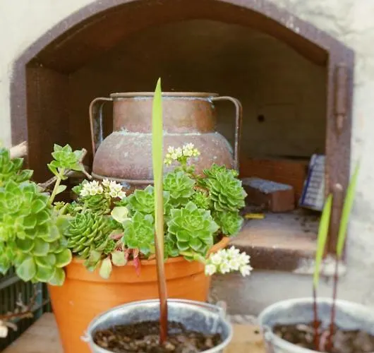 ベッド・アンド・ブレックファスト Martin's アトウギア・ダ・バレイア